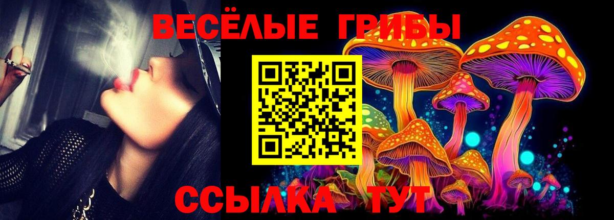 Псилоцибиновые грибы Psilocybine cubensis  Вход с VPN  купить   Кудымкар  Галлюциногенные грибы прущие грибы 